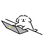 5.gif